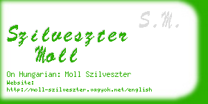 szilveszter moll business card